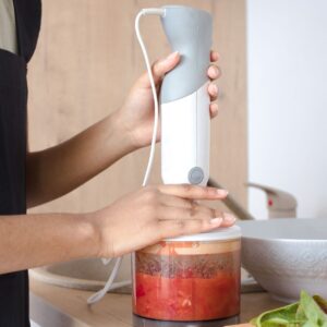 Hand Blender - Globlly